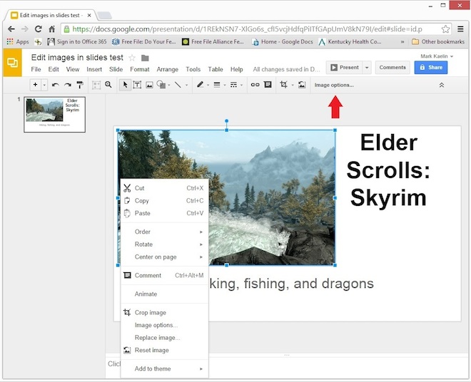 Google Slides B Image Edit Options