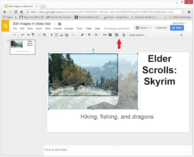 Google Slides D Crop