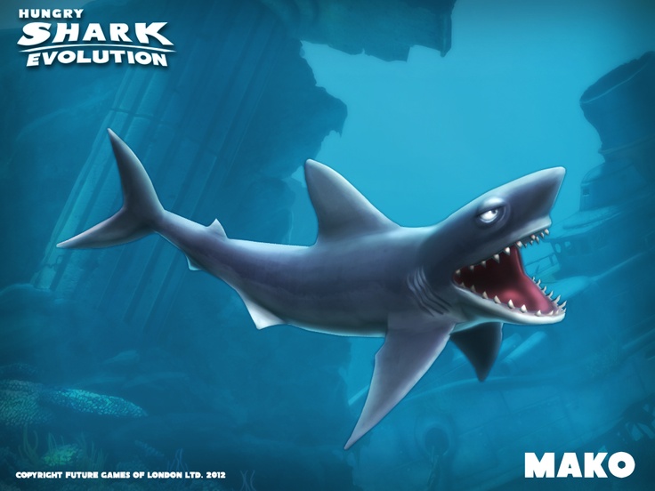 Hungry Shark Mako