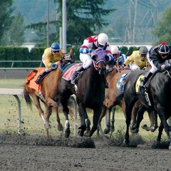 Horse Racing for Fun and Profit